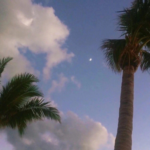 天生的炮架子女人图片高清
